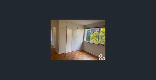 Spacious Light Filled Apartment! - Photo 1