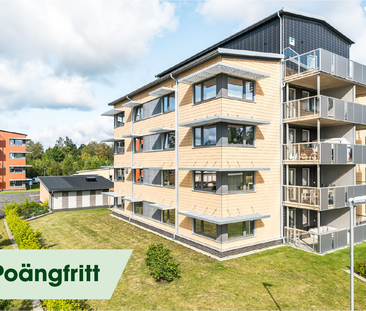 Salviavägen 11 - Photo 4