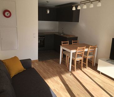 Location appartement 2 pièces 44.97 m² à Ferney-Voltaire (01210) - Photo 6