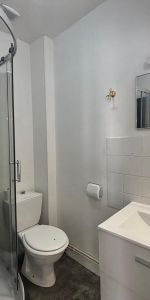 Location Appartement 1 pièce 20m² ANGERS 49100 - Photo 4