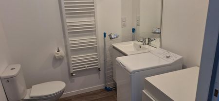 Location Appartement 2 pièces Meublé 43m² LA CHEVROLIERE 44118 - Photo 2