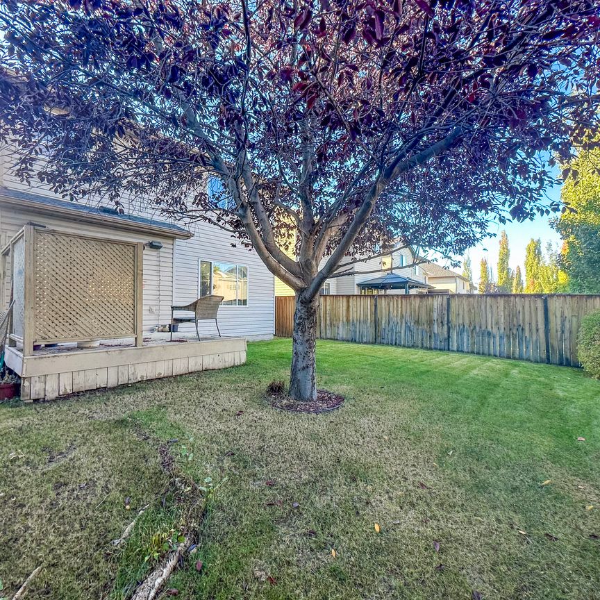 Spacious Home With Finished Basement And Backyard – Quiet Street In New Brighton - Photo 1