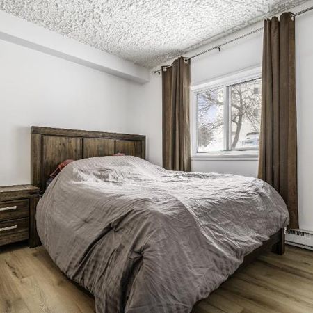 Appartement 3 ½ à louer Limoilou novembre 2025 - Photo 4