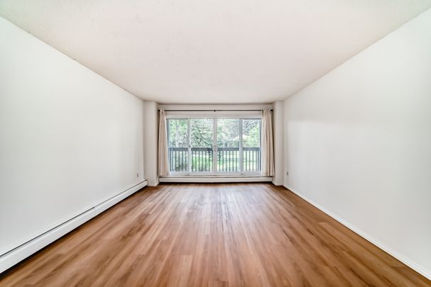 CONVENIENTLY LOCATED 2 BED, 1.5 BATH 2nd-FLOOR CONDO IN THE COMMUNITY OF HAYSBORO - Photo 1