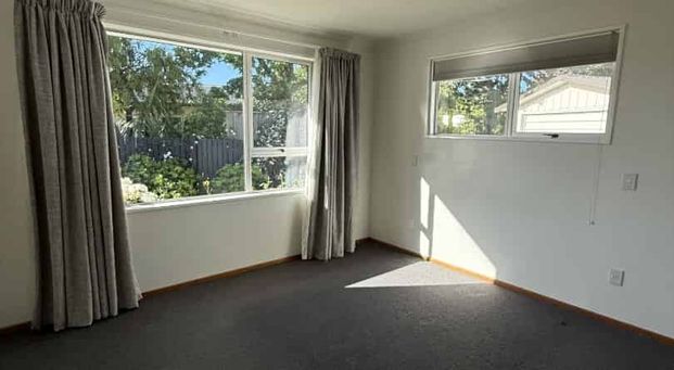 Sunny Family Home in Renwick - Photo 1