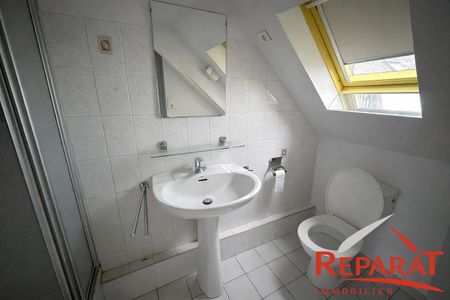 Location Appartement 1 pièce 20m² BRIVE LA GAILLARDE 19100 - Photo 5