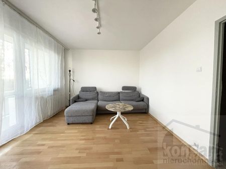 Wynajem, 3 pokoje przy Uniwersytecie, Gumieńce - Photo 2