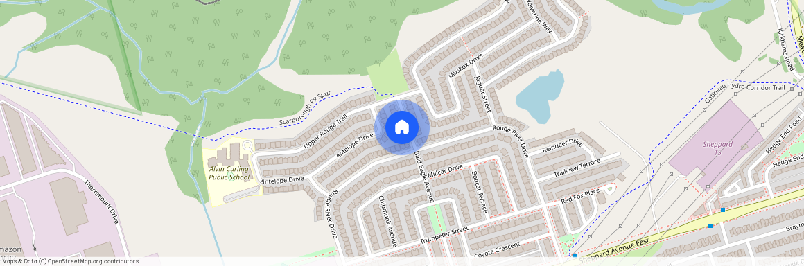 24 Bald Eagle Avenue Unit# Bsmt, Toronto