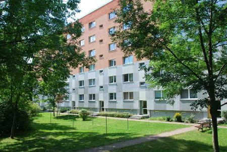 3-Raum-Wohnung mit Blick ins Grüne - Foto 5