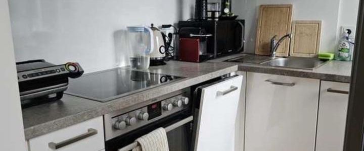 Furnished Apartment Sublet / Zwichenmiete ab 15.12.2025 - Foto 1