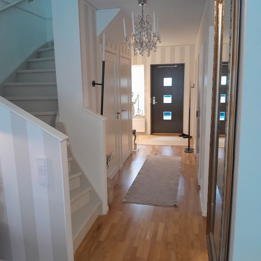 Filgränd, Umeå - Foto 1