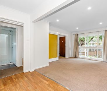 2/13 Poplar Street, Box Hill VIC 3128 - Apartment For Rent | Domain - Photo 1