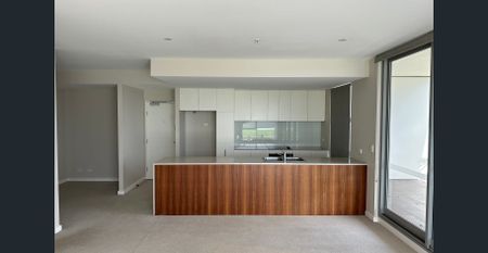 Apartment with luxe finishes, air-conditioning and a massive courtyard area - Photo 4