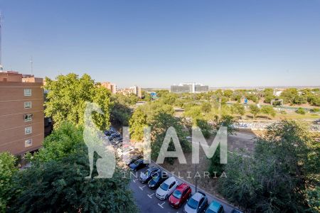 Habitación - Madrid - Alameda de Osuna - 480€ MES - Ref. RYN-AHCG1123 - Photo 4