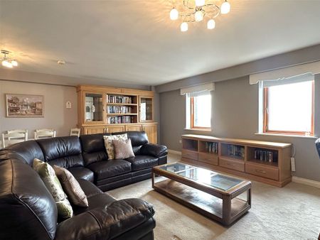 14 Spanish Parade, The Long Walk, Galway - Photo 4