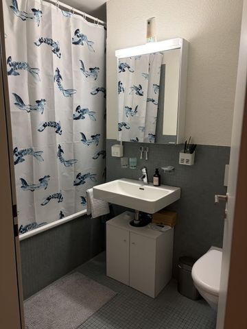 3.5 Zimmer, 81 m², 7. Stock - Photo 5