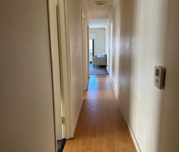 Surry Hills - Photo 5