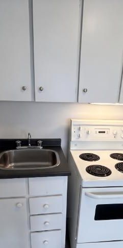 1 CH - 1 SDB - Montréal - $1,149 /mo - Photo 1