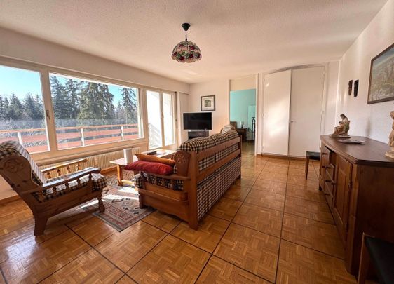 Spacious 2.5-room apartment for rent in the season (April to November) - Photo 1