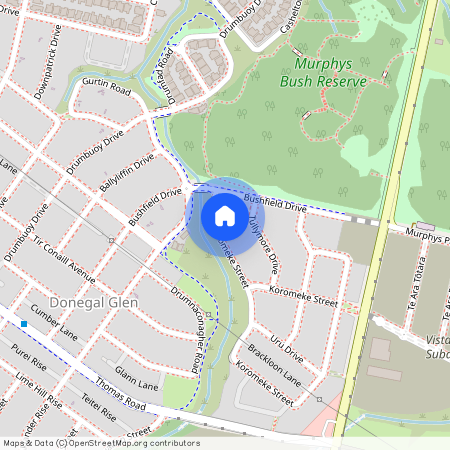 8 Koromeke Street, Flat Bush, Manukau City