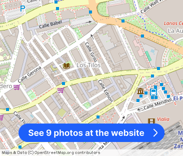 Alquiler de ático en Paseo de los Tilos, 72 - Photo 1