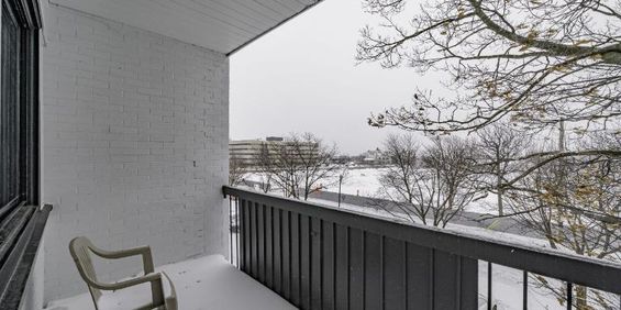 Loft à louer Sainte-Foy / Sillery juillet 2026 - Photo 3