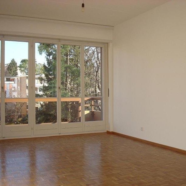 Rent a 1 ½ rooms apartment in Lugano - Foto 1