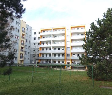 günstige 3-Raum-Wohnung mit Balkon - Photo 6