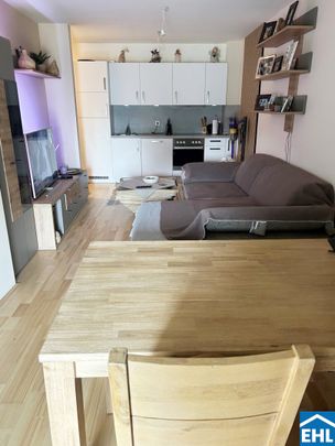 Traumhafte Neubauwohnungen auf der Schmelz - Foto 1