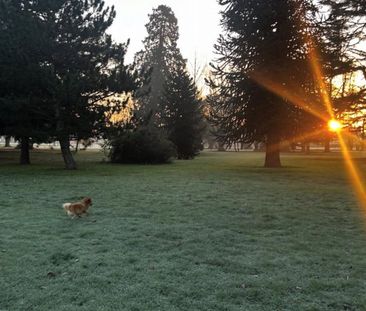 Studio to rent - Photo 6