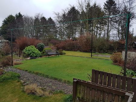 3 bedroom semi-detached house to rent - Photo 5