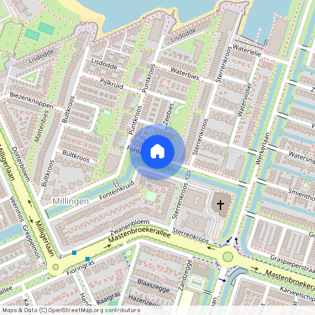 Milligen, 8043 NH, Fonteinkruid, Zwolle