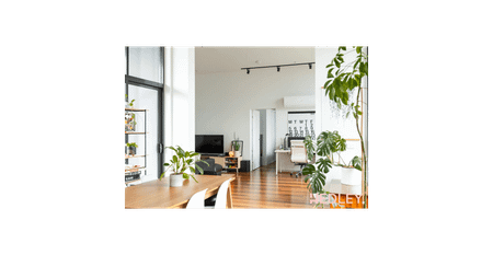 R O B E R T - Photo 5