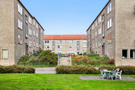 Afd. 67 Skovvænget - Photo 4