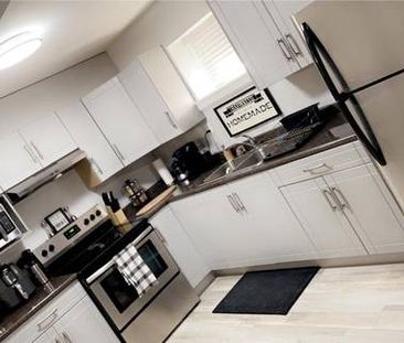 1 bedroom & 1 washroom basement for rent - Photo 1
