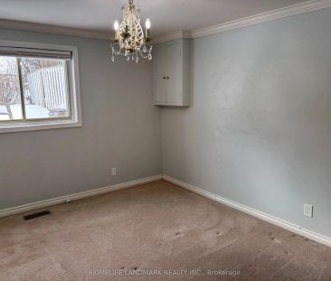 714 Cortez Avenue #( Lower ) - Photo 6