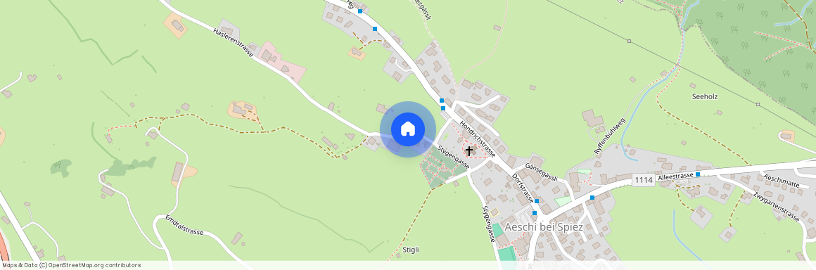 3703, Aeschi b. Spiez, Niederdorfstrasse, 5