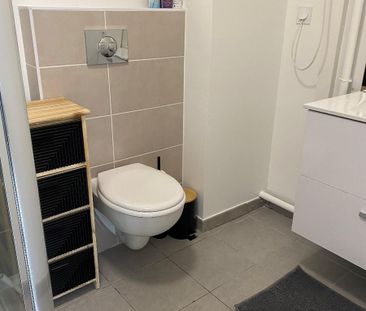 Location Appartement 1 pièce 20m² ST ETIENNE 42000 - Photo 3