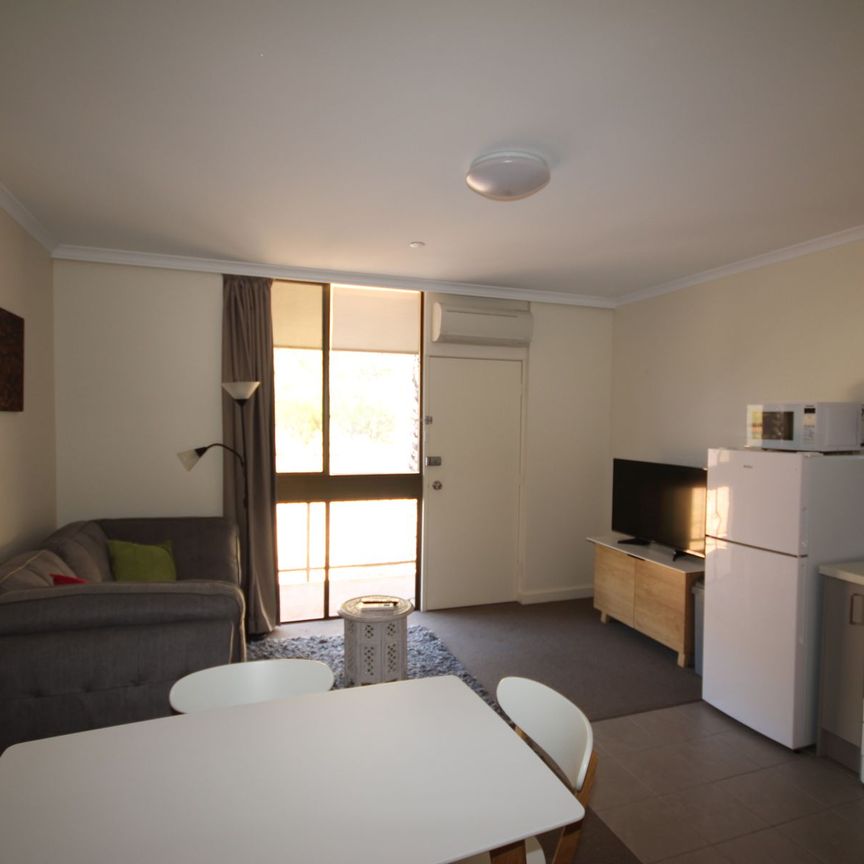 Fully Furnished Studio Unit - Photo 1