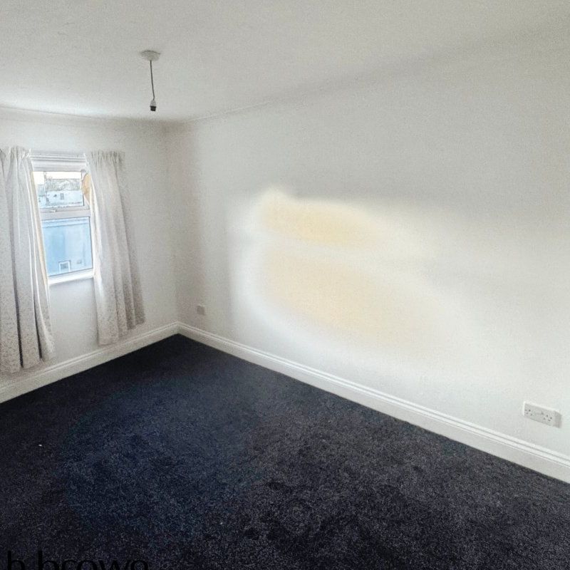 25 Pallister Road - Photo 1