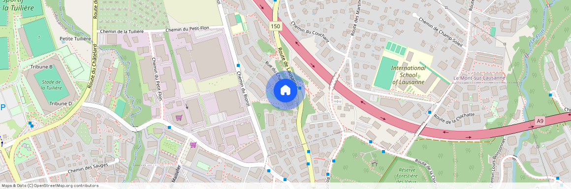 Rue Du Champ-Du-Bois 24, 1052 Le Mont-sur-Lausanne