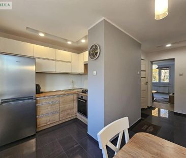 Sosnowiec / Niwka - Zdjęcie 5