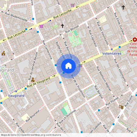 Rue de Vaugirard et Rue de la Procession 75015 Paris (15e arrondissement)