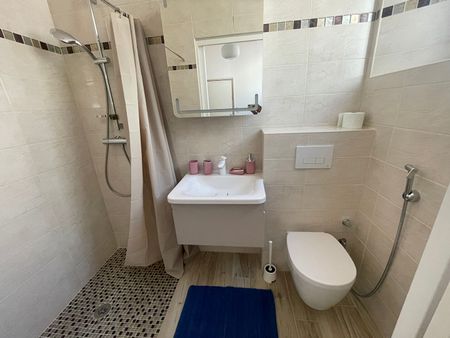 JOINVILLE : APPARTEMENT 5 PIECES MEUBLE 130 M2 - Photo 3