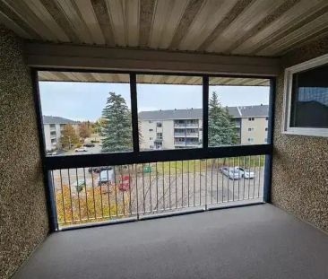 Home For Christmas! RENOVATED Millwoods 1 Bedroom Available Immedia... - Photo 1