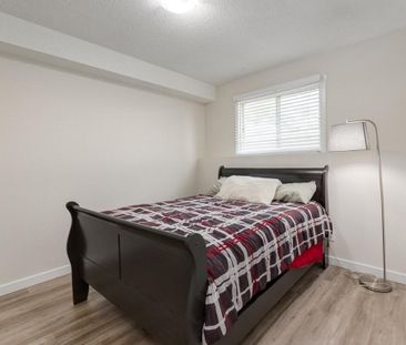Renovated Suite - 2 Bedroom - Photo 1