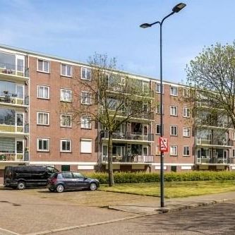 Maassingel, 5215 's-Hertogenbosch, Nederland - Foto 4