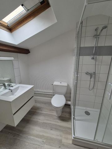 Location Appartement 2 pièces 49m² NANCY 54000 - Photo 3