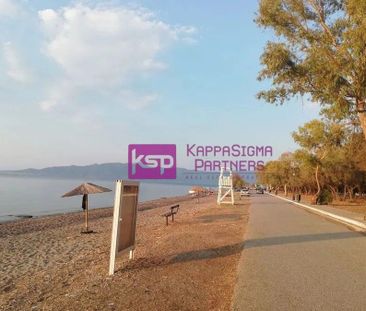 Διαμέρισμα για ενοικίαση Αρκίτσα (Δαφνούσες) - Photo 6