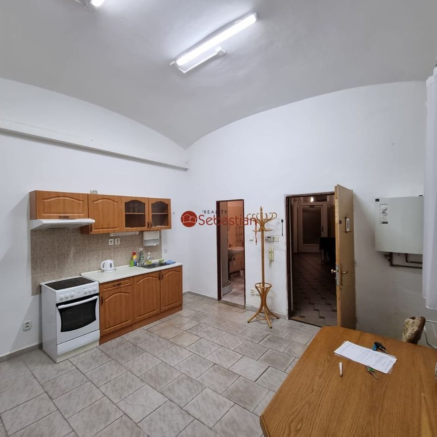 Pronájem bytu 1+1 45 m², Dlouhá 66, Teplice - Photo 1